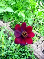JD500102.webp