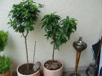 k-Bild 040.webp