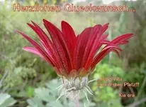 Oktober 2009 557.webp