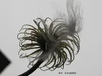 clematis trifft feder.webp