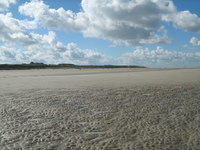IMG_3057.JPG