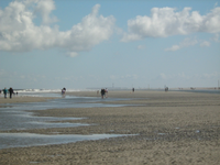 IMG_3055.JPG