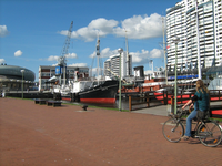 IMG_3084.JPG