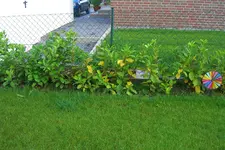 CIMG6772.webp
