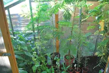 Garten.webp