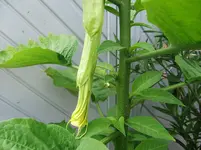 DSCF4035.webp