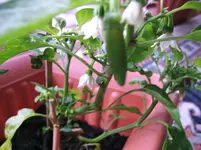 DSCF4038.webp