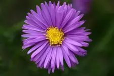 IMG_6837.webp