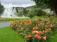 143.webp