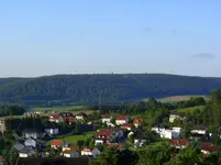 181.webp