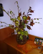 PEicheln.webp