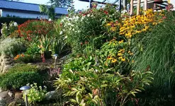 Herbststimmung Hangbeet.webp