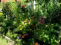SDC12131.webp