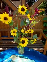 SDC12156.webp