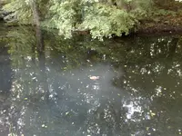 10092010203.webp