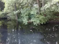 10092010204.webp
