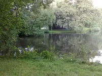 10092010211.jpg