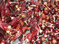 P9100181.webp P9100181.webp