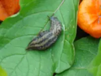 2010 09 10 011.webp