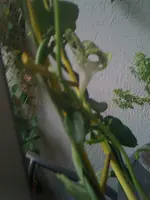 09.10.10 037.webp