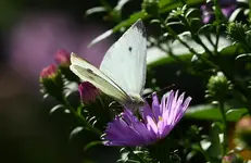 IMG_6970.webp