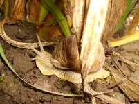 Garten 055.webp