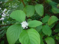 9.9.2010 078.jpg