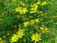 CIMG0560.webp