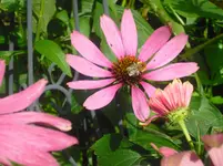 CIMG0565.webp