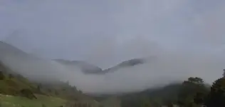 Regen (2).webp