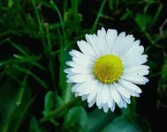September 2010 125v.webp