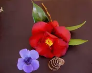 September 2010 092 v.webp