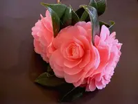 September 2010 100 v.webp