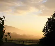 Morgenstimmung (3).webp