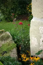 Eine Schöne bahnt sich den Weg....webp