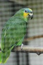 IMG_7079.webp