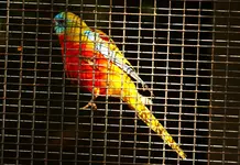 IMG_7124.webp