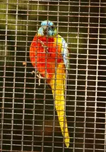 IMG_7125.JPG