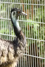 IMG_7146.JPG