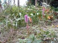 DSCF0013.webp
