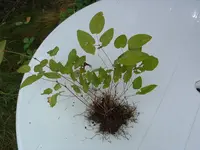 DSCF0016.webp