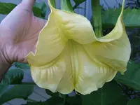 DSCF4063.webp