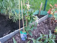 DSCF4065.webp
