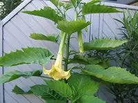 DSCF4064.webp