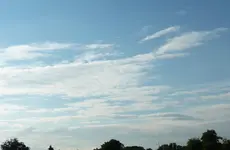 P1050740.webp