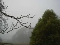 Regen v.webp