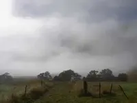 Regen v (1).webp