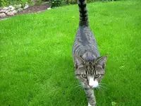 Sammy gestern.webp