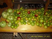 Test 780.webp