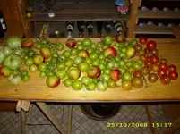 Test 791.webp